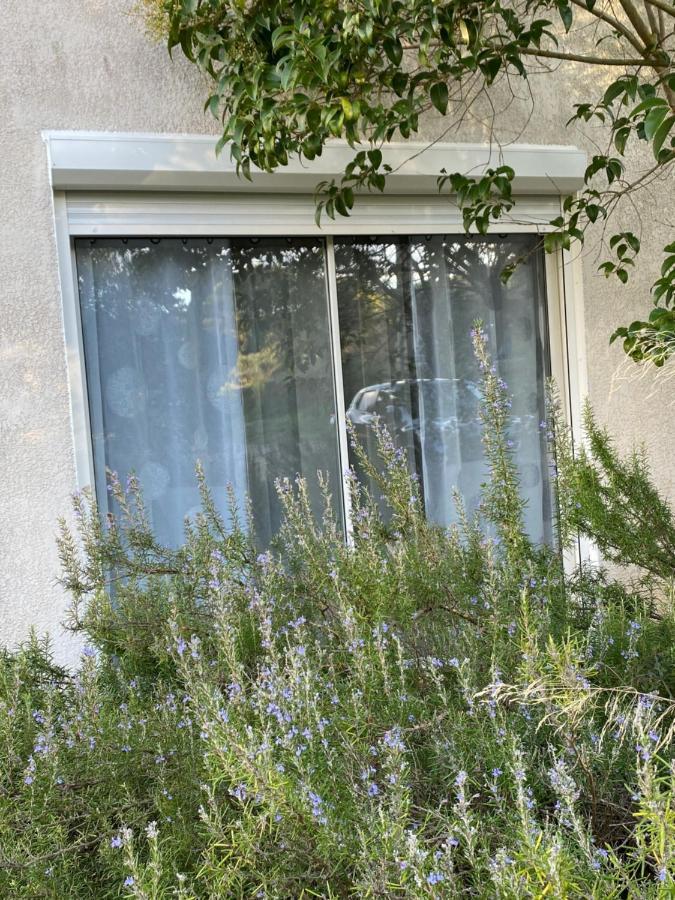 Mas Des Tournevents Bed & Breakfast Lézignan-Corbières Exterior foto