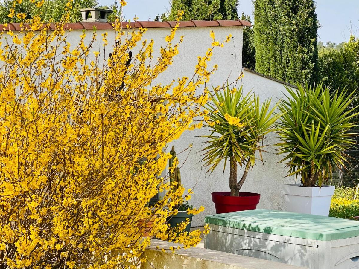 Mas Des Tournevents Bed & Breakfast Lézignan-Corbières Exterior foto